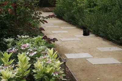 Ecocentrix Landscape Architecture - Landscape Design in Santa Monica, CA