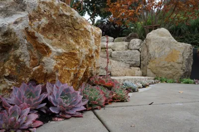 Ecocentrix Landscape Architecture - Landscape Design in Santa Monica, CA