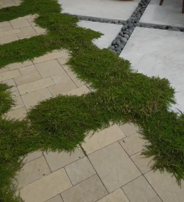Pam Johnsen, Landscape Designer - Landscape Design in Omaha, NE