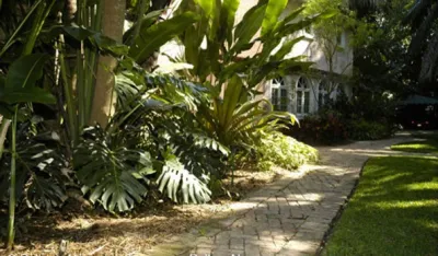 Pelton's Nurseries - Landscape Design in Miami, FL