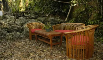 Pelton's Nurseries - Landscape Design in Miami, FL