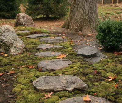 Penguin Environmental Design L.L.C. - Landscape Design in Hamden, CT
