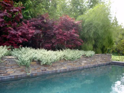 Perla Arquieta ASLA - Landscape Design in Venice, CA