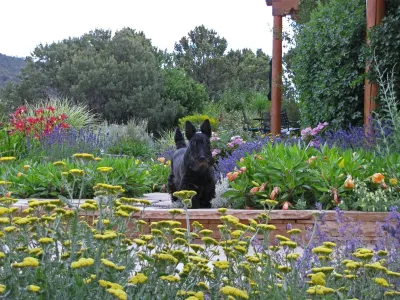 PermaDesign, Inc. - Landscape Design in Santa Fe, NM