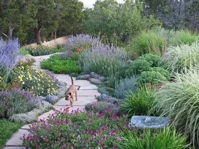 Santa Fe Permaculture — Landscape Design project by PermaDesign, Inc. in Santa Fe