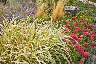 PermaDesign, Inc. - Landscape Design in Santa Fe, NM