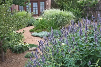 Ben Garden, Santa Fe, NM — Landscape Design project by PermaDesign, Inc. in Santa Fe