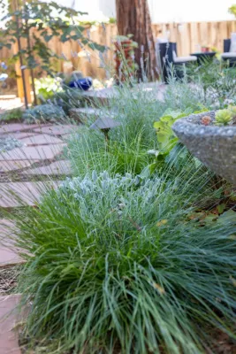 EcoGardens Landscape Design - Patio Design & Installation in Los Altos, CA