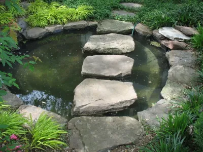 Peter Nohrden - Landscape Design in Washington, 