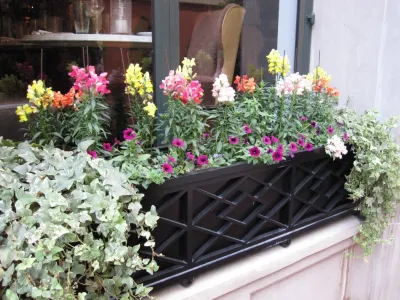 Peter Raarup Landscape Design - Landscape Design in New Orleans, LA