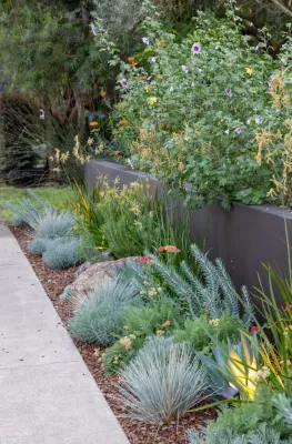 EcoGardens Landscape Design - Patio Design & Installation in Los Altos, CA