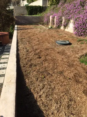 EcoGrass - Drought-Resistant Lawn Installation in Reseda, CA