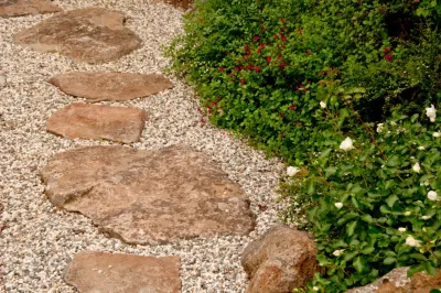 Ecological Landscape Design - Rainwater Harvesting System Installation in Davis, CA