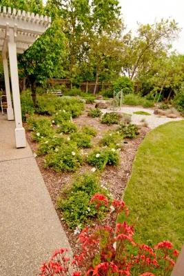 Ecological Landscape Design - Rainwater Harvesting System Installation in Davis, CA