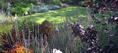 Picture This Land - Landscape Design in Glendale, CA