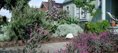 Picture This Land - Landscape Design in Glendale, CA