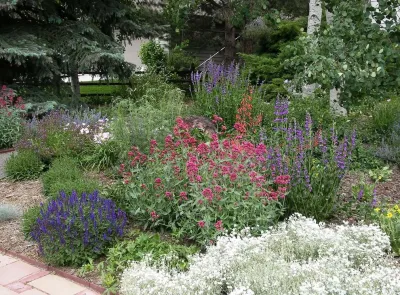 Ecoscape Environmental Design - Irrigation System Repair in Boulder, CO