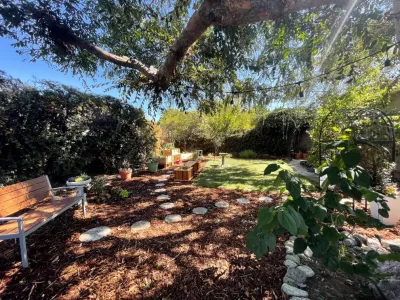 Eden Condensed - Drought-Resistant Lawn Installation in Valley Village, CA
