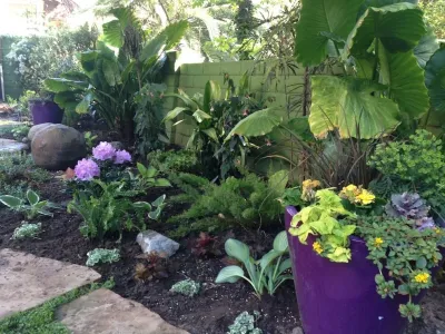 Eden Condensed - Drought-Resistant Lawn Installation in Valley Village, CA