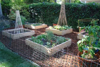 Eden Condensed - Drought-Resistant Lawn Installation in Valley Village, CA