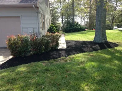 Professional landscaping and power washing LLC - Landscape Design in Lewes, DE