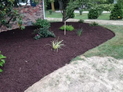 Professional landscaping and power washing LLC - Landscape Design in Lewes, DE