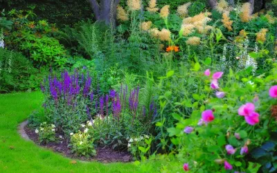 Proflora Landscapes - Landscape Design in Denver, CO