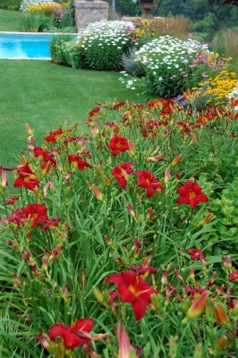 Edward Clark Landscape Architect, LLC - Drip Irrigation System Installation in Flanders, NJ