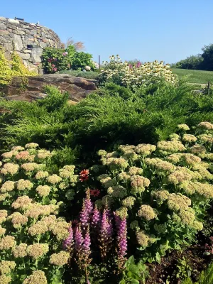 Rebecca Hoffman Fine Gardening - Landscape Design in Kittery, ME