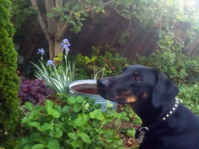 Reber Landscape Architecture - Landscape Design in Denver, CO