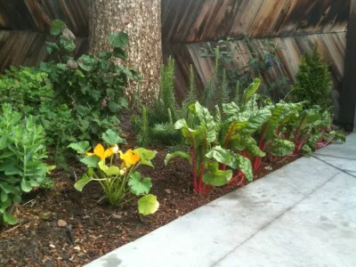 Congress Park — Landscape Design project by Reber Landscape Architecture