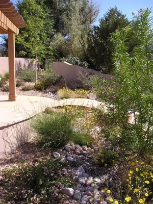 North Albuquerque Acres — Landscape Design project by Red Twig Studio