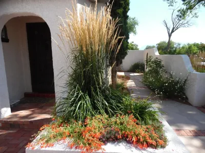 Red Twig Studio - Landscape Design in Albuquerque, NM