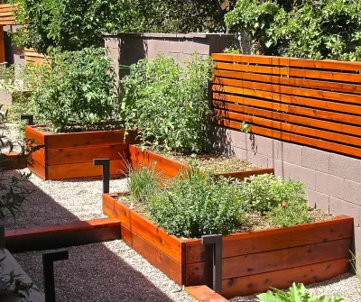 Mid Century Modern II — Landscape Design project by Red Twig Studio