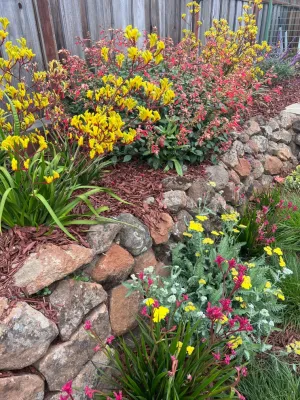 Elemental Design Group - Garden Remodeling in Monterey, CA