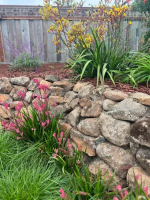 Elemental Design Group - Garden Remodeling in Monterey, CA