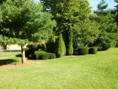 Utility Screening — Landscape Design project by Richard Clayton Barrett