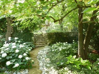 Krumlauff-Weidemann Woodland Garden — Landscape Design project by Richard Clayton Barrett
