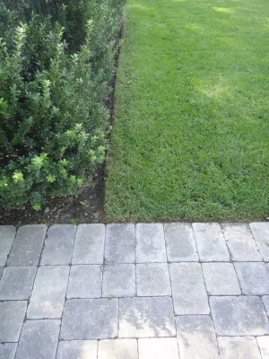 Belmont Backyard — Landscape Design project by Elizabeth Gourley Design in Belmont