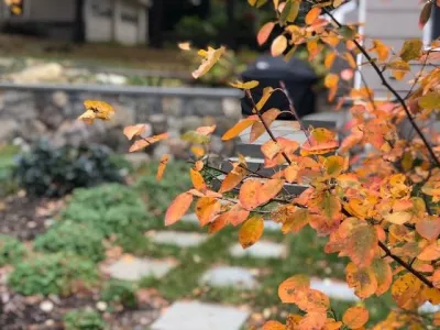 Elizabeth Gourley Design - Garden Remodeling in Belmont, MA
