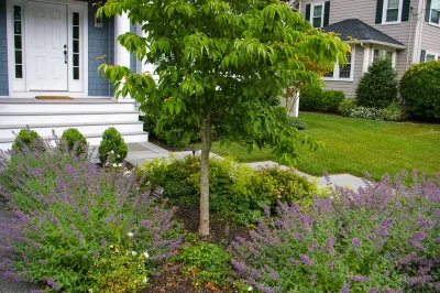 Needham Family Yard — Landscape Design project by A Blade Of Grass in Needham