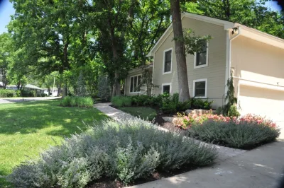 Woodland Garden — Landscape Design project by Embassy Landscape Group