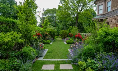Brookline Brownstone — Landscape Design project by A Blade Of Grass