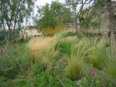 Beason Residence Newport Coast — Landscape Design project by Env5 Landscape Architectural Design