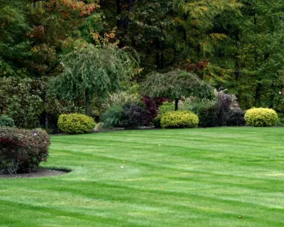 Rosado And Sons - Landscape Design in Westborough, MA