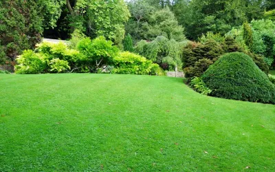 Tree, Shrub, Plant Installation & Landscape Design East Longmeadow, MA by Environmental Design & Landscaping LLC