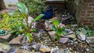 Adco Landscape, LLC - Tree & Shrub Care in Henderson, NC