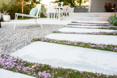 Environmental Designs, Inc. - Landscape Maintenance in Henderson, CO