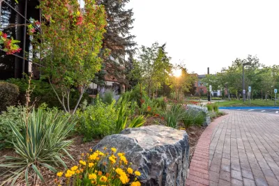 Environmental Designs, Inc. - Landscape Maintenance in Henderson, CO