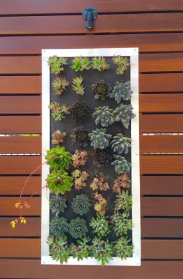 Envy Landscape Design Inc. - Drip Irrigation System Installation in San Diego, CA
